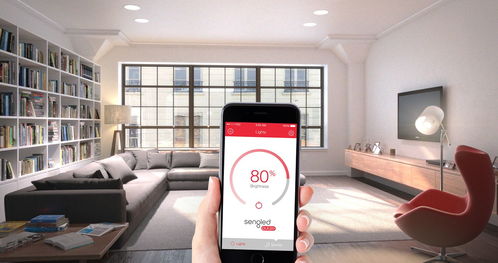 振輝智能照明 賽爾達(dá)智能照明